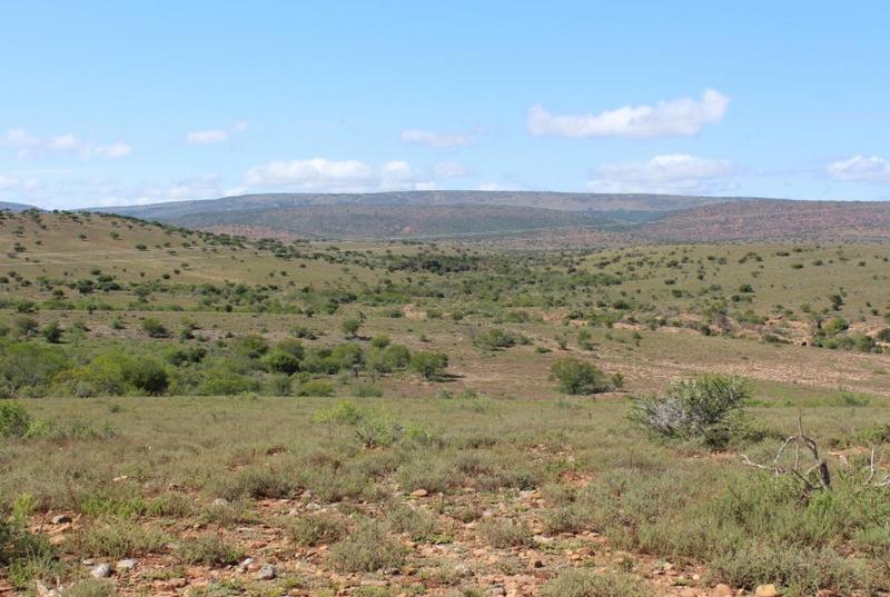 4 Bedroom Property for Sale in Grahamstown Eastern Cape